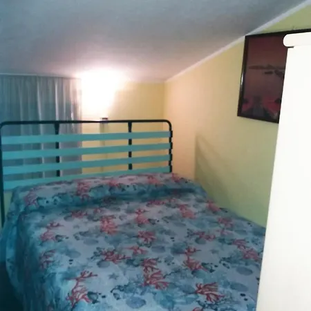 Rey Marina Romantica