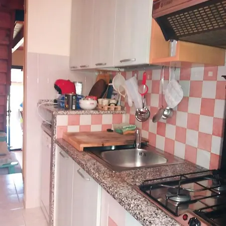 Rey Marina Romantica *