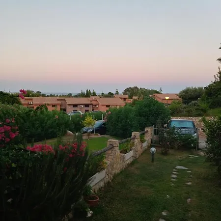 Rey Marina Romantica *